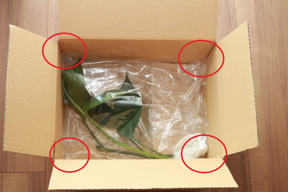 第四種郵便物で植物を安く安全に送る方法 植物ノート